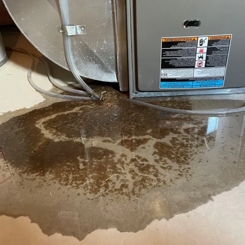 Pipe Burst and Leak Restoration in Sinking Spring, PA